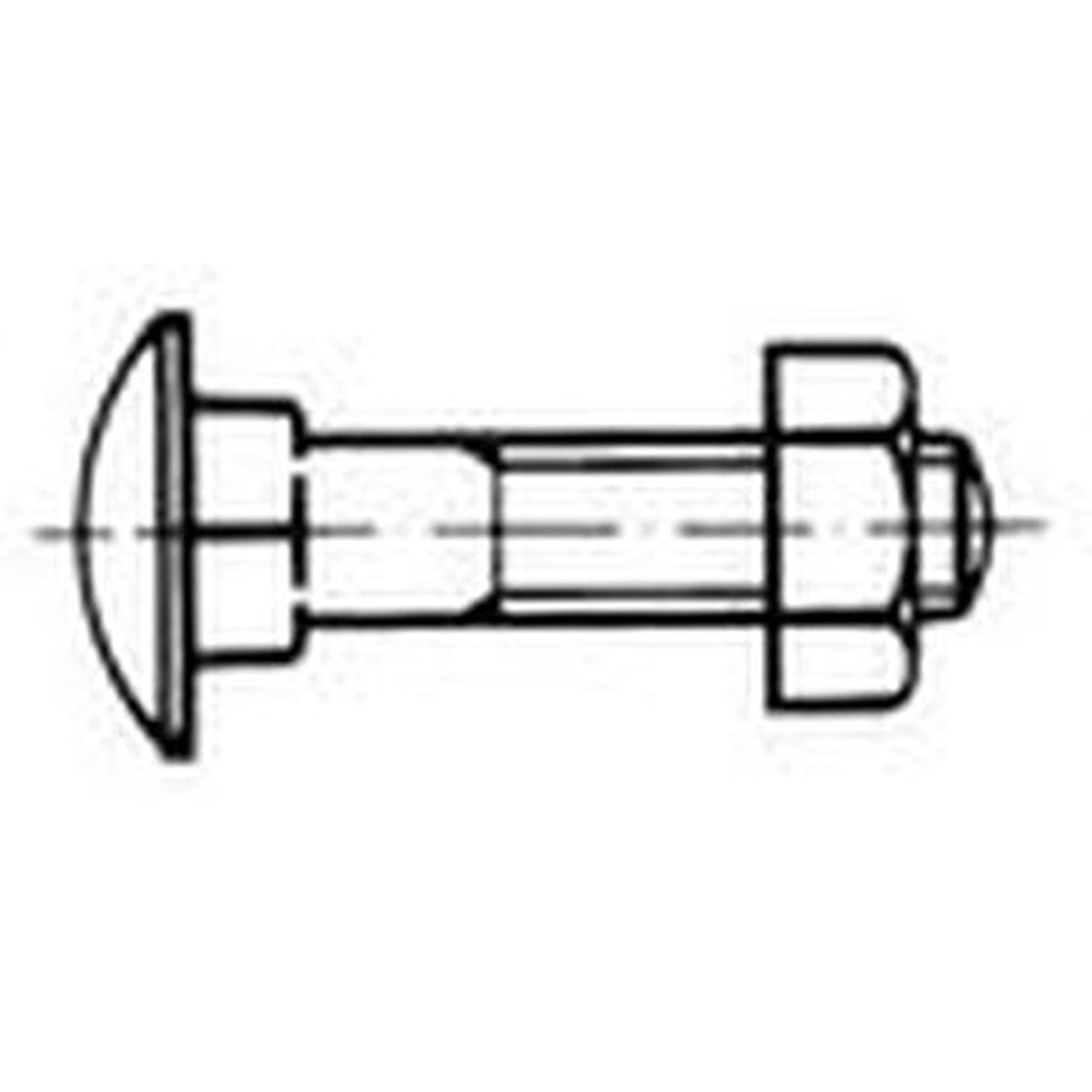 Schraube DIN603 A4 M8x55  