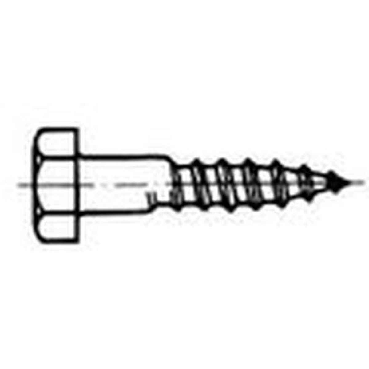 Holzschraube DIN571 A4 Ø10x60  